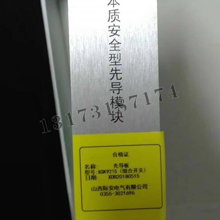 先導(dǎo)板8SK9215本質(zhì)安全型先導(dǎo)模塊（組合開關(guān)）|山西際安電氣有限公司